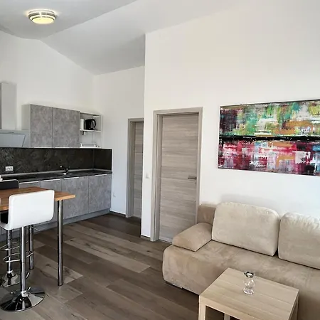 Apartmán House Viric *
