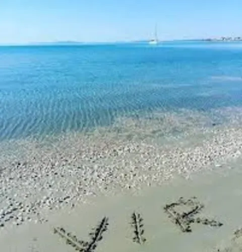 아파트 House Viric 비르