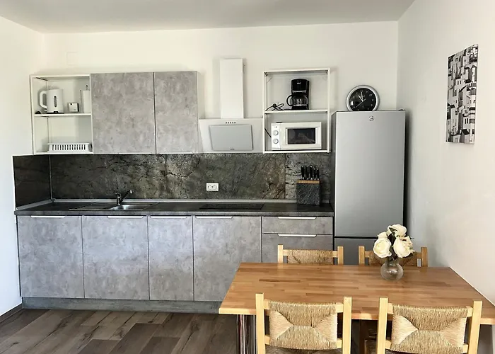 House Viric 아파트 비르