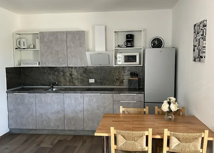 公寓 House Viric *