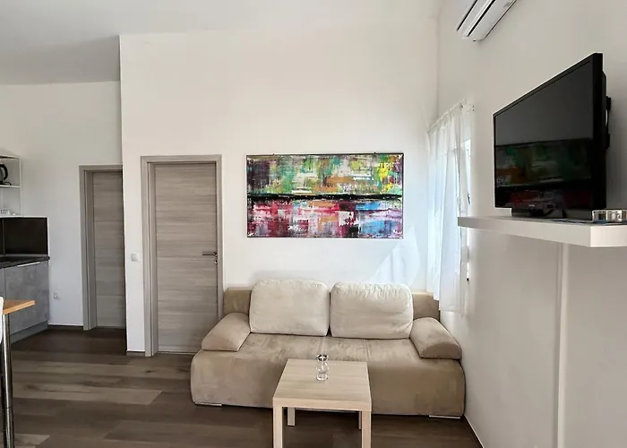 公寓 House Viric 维尔